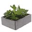 Zinnia Zaharan Double Jumbo 6 Pack Boxed BeddingAlternative Image1