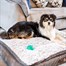 Zoon Komfort Kord Memory Foam Mattress Dog BedAlternative Image1