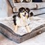 Zoon Komfort Kord Memory Foam Mattress Dog BedAlternative Image2