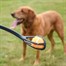 Zoon Pooch Ball Launcher dog Toy (8004018)Alternative Image1