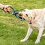 Zoon Uber-Activ 8 - Tugger Dog Toy (8004129)Alternative Image1