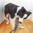 Zoon Uber-Activ Rope Chukker Dog Toy (8004124)Alternative Image1