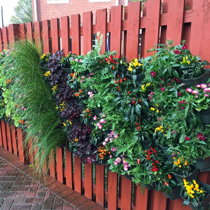 Wonderwall Vertical Garden (ROP2936)