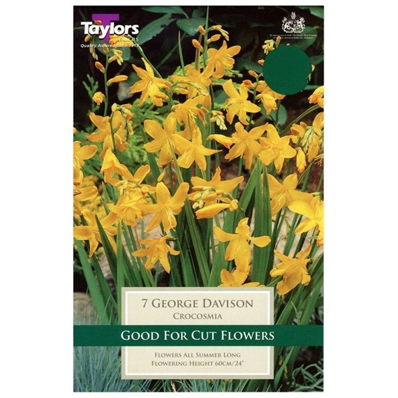 Taylors Bulbs Crocosmia George Davison (7 Pack) (TS671)