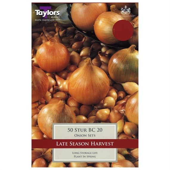 Taylors Bulbs Onion Stur Bc 20 (50 Pack) (VP245)