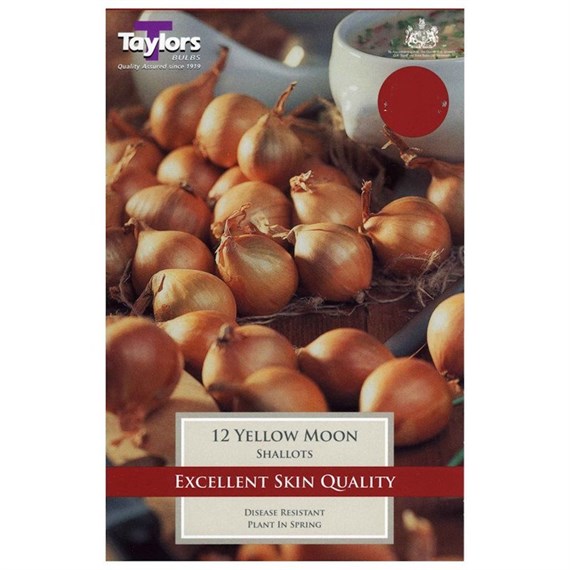 Taylors Bulbs Shallot Yellow Moon (10 Pack) (VP350)