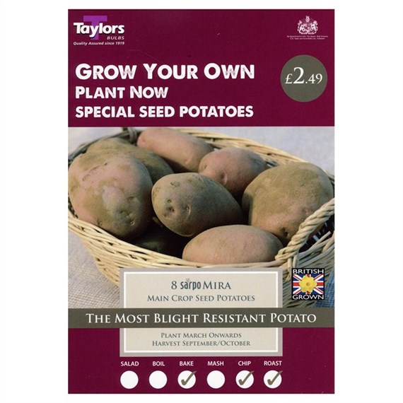 Taylors Bulbs Seed Potatoes Sarpo Mira (8 Pack) (VP585)