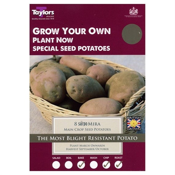 Taylors Bulbs Seed Potatoes Sarpo Mira (8 Pack) (VP585)