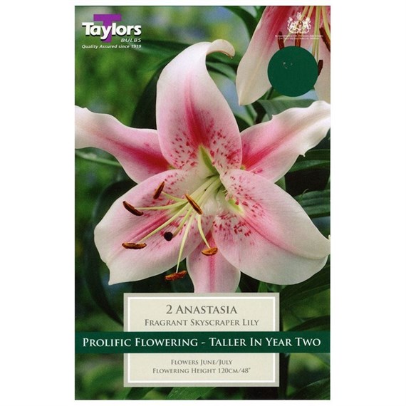 Taylors Bulbs Lily Anastasia (2 Pack) (TS511)
