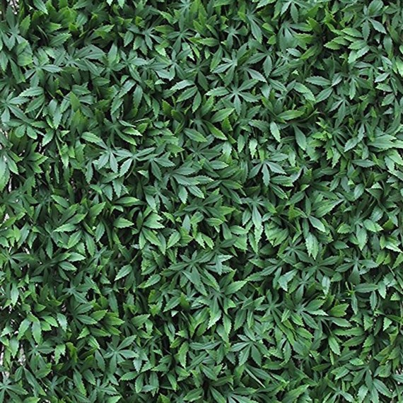 Mercer 100 x 200cm Green Acer Trellis (YOJ-771)