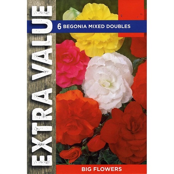 Taylors Bulbs Begonia Mixed Doubles (4 Pack) (ESV501)