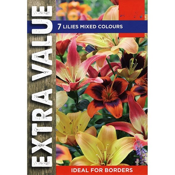 Taylors Bulbs Lilies Mixed Colours (7 Pack) (ESV505)
