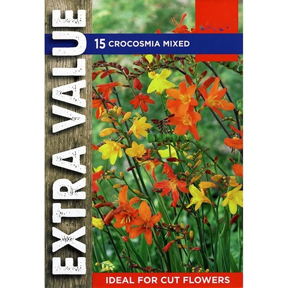 Taylors Bulbs Crocosmia Mixed (20 Pack) (ESV510)