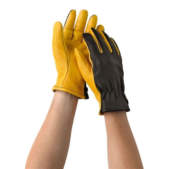 Gold Leaf Dry Touch Gloves Mens