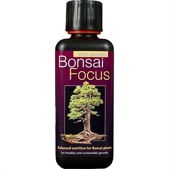 Growth Technology Bonsai Focus Houseplant Care - 300ml (GTBF300)