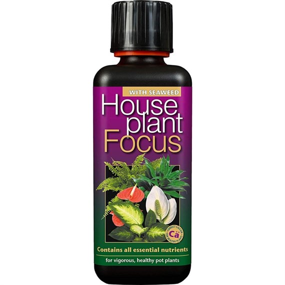 Growth Technology Houseplant Focus Houseplant Care - 300ml (GTHPF300)