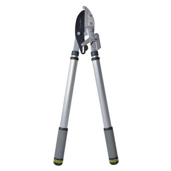 Burgon & Ball RHS Telescopic Ratchet Lopper (GTO/LOPRATCHET)