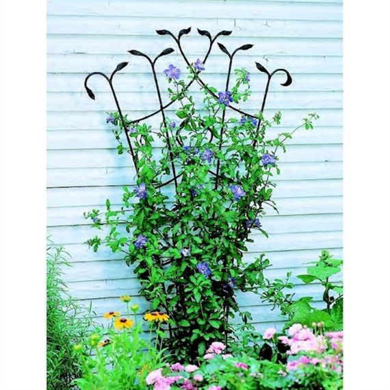 Panacea Forged Fan Trellis with Leaves - Black (89482)