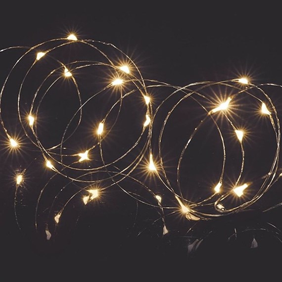 Premier 50 Warm White Battery Operated Action Pin Wire LED Christmas Timer Lights (LB151209WW)