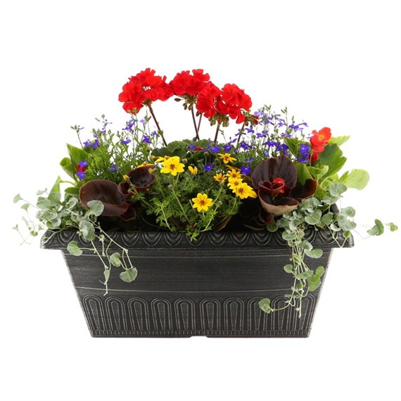 Planted Valencia Seasonal Outdoor Window Box Bedding Container Summer