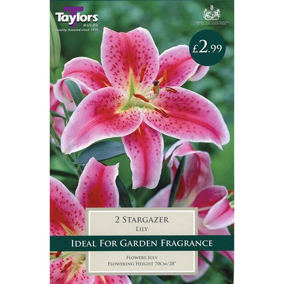 Taylors Bulbs Lily Stargazer (2 Pack) (TS545)