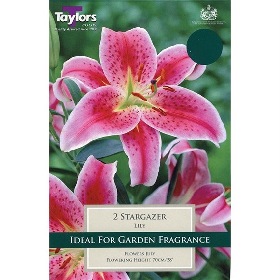 Taylors Bulbs Lily Stargazer (2 Pack) (TS545)