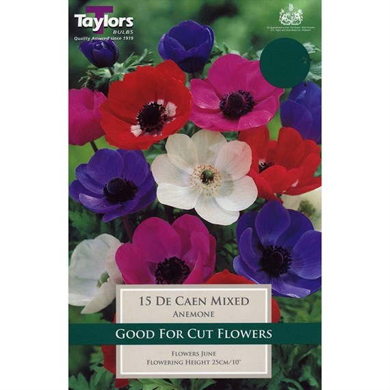 Taylors Bulbs Anemone De Caen Mixed (15 Pack) (TS625)