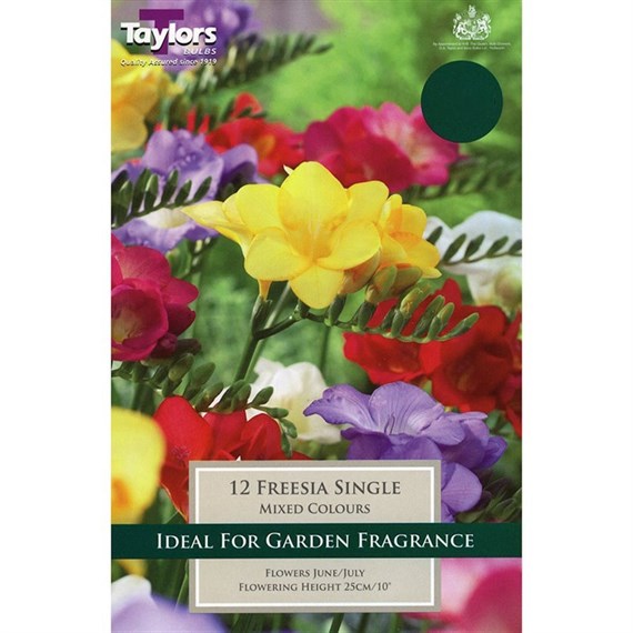 Taylors Bulbs Freesia Mixed Single (15 Pack) (TP677)