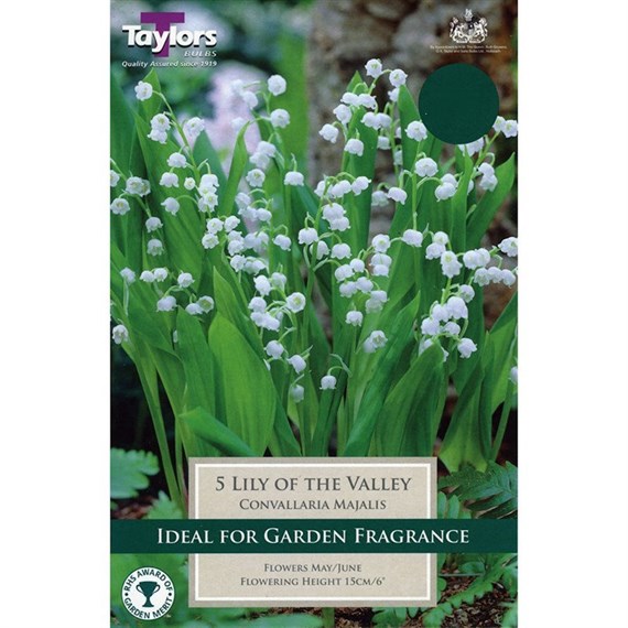 Taylors Bulbs Convallaria Majalis (Lily Of The Valley) (3 Pack) (TS831)