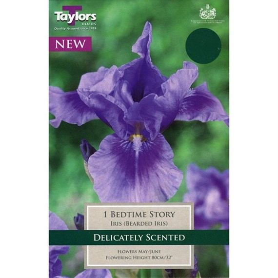 Taylors Bulbs Iris Bedtime Story (Single Pack) (TS848)