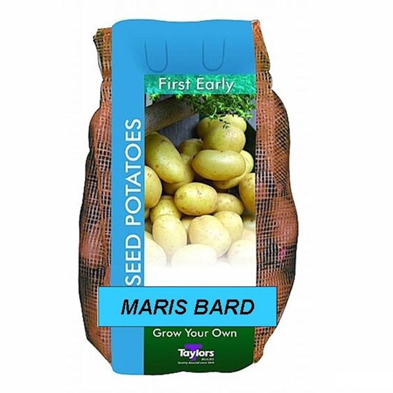 Taylors Bulbs Seed Potatoes Maris Bard (2Kg Pack) (VAC414)
