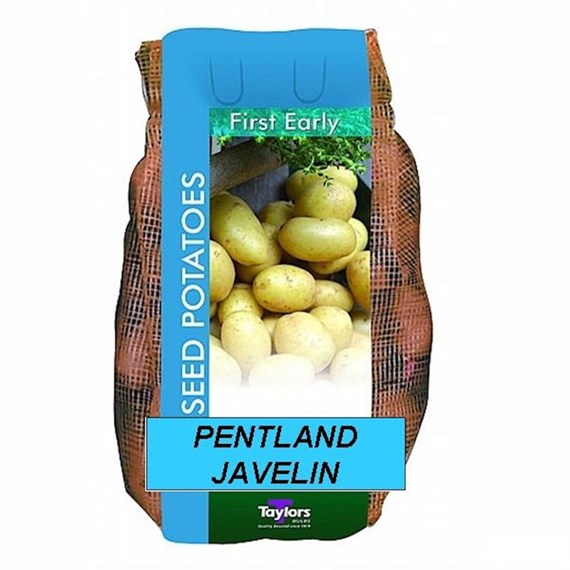 Taylors Bulbs Seed Potatoes Pentland Javelin (2Kg Pack) (VAC418)