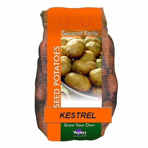 Taylors Bulbs Seed Potatoes Kestrel (2Kg Pack) (VAC448)