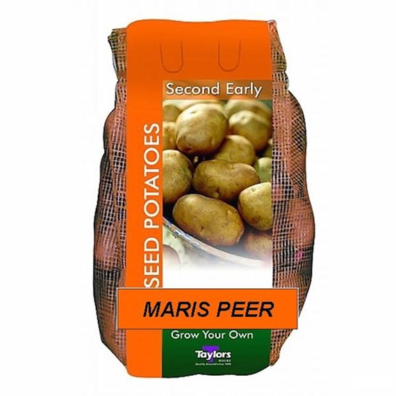 Taylors Bulbs Seed Potatoes Maris Peer (2Kg Pack) (VAC452)