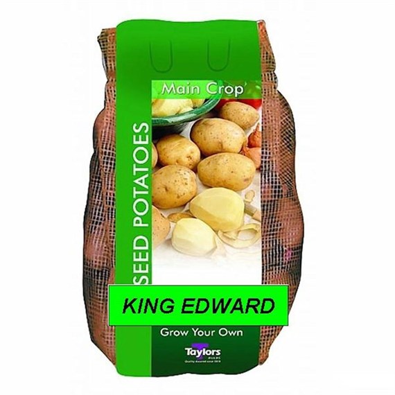 Taylors Bulbs Seed Potatoes King Edward (2Kg Pack) (VAC478)