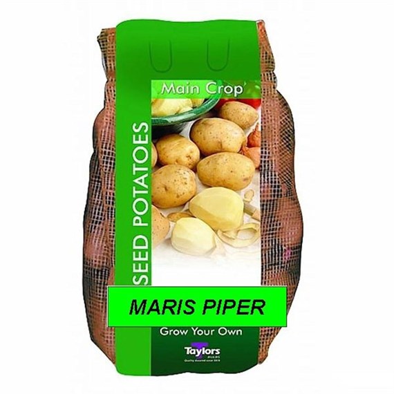 Taylors Bulbs Seed Potatoes Maris Piper (2Kg Pack) (VAC484)