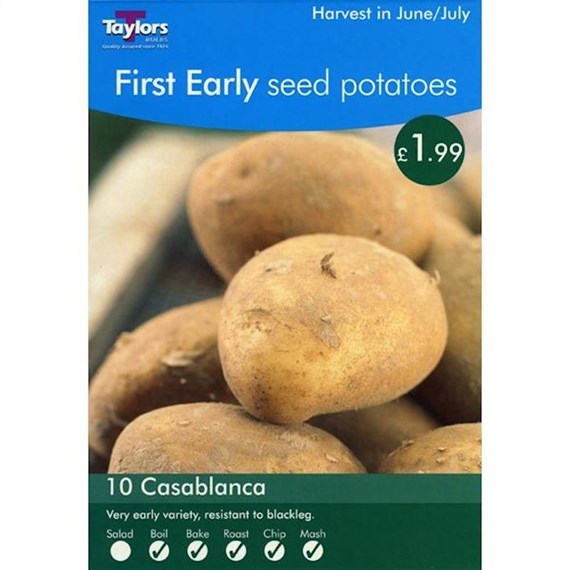Taylors Bulbs Seed Potatoes Casablanca (10 Pack) (VP404)