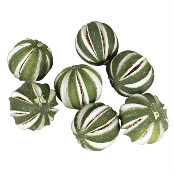 APAC 250g Dried Whole Green Oranges (DF4058)