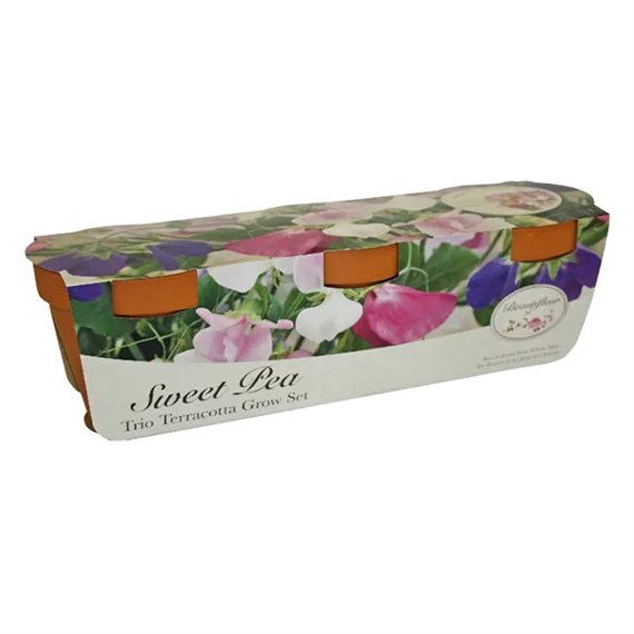 Beautifleur Sweet Pea Trio Terracotta Grow Gift Set (042061)