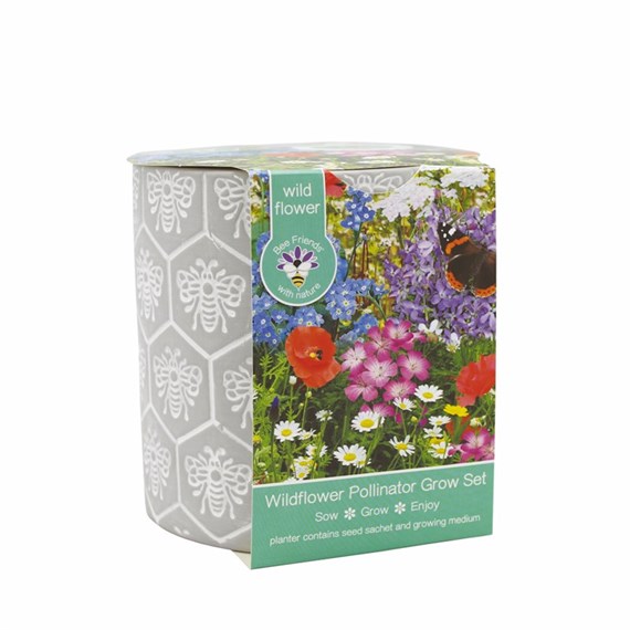 Bee Friends 13cm Patterned Ceramic Pot - Pollinator Mix (018381)