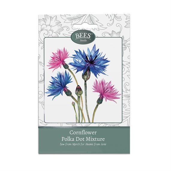 Bees Seeds Cornflower Polkadot Mixture (120024)