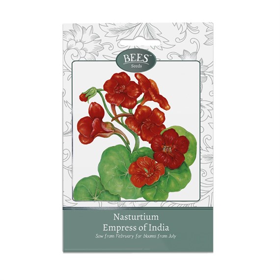 Bees Seeds Nasturtium Empress of India (120025)
