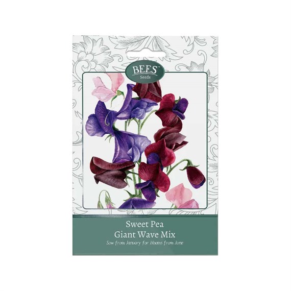Bees Seeds Sweet Pea Giant Wave Mixture (120016)