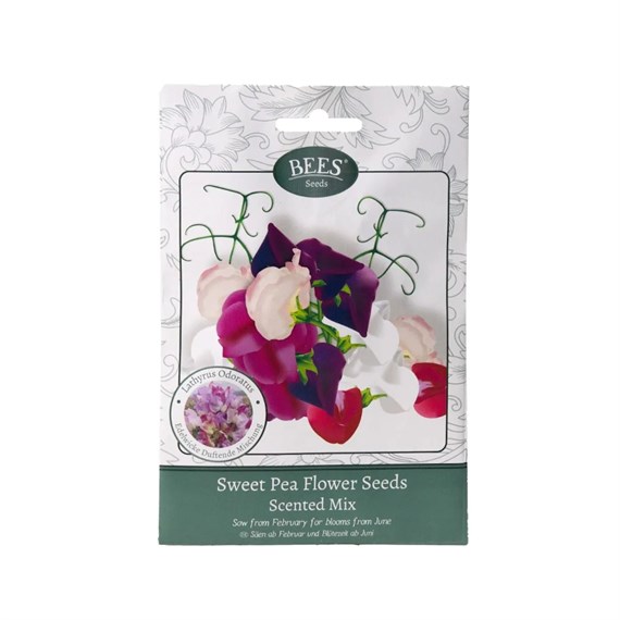 Bees Seeds Sweet Pea Scented Mixture (120028)