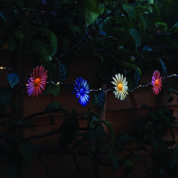 Cole & Bright Meadow Collect String Light 12 Daisy (L26404)