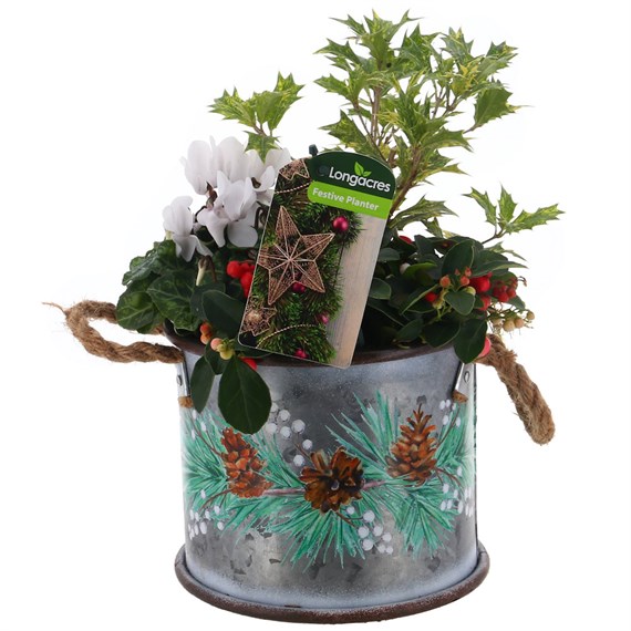 Christmas Festive Extra Small Metal Container - Pine Cones & Berries Design