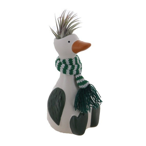 Christmas Festive Holiday Green Duck with Air Plant Hair Houseplant
