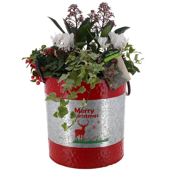Christmas Festive Large Red & Silver Galvanised 'Merry Christmas' Bedding Planter
