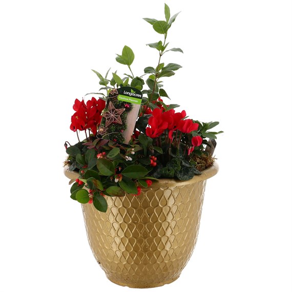 Christmas Festive Large Gold Metallic Teardrop Design Plastic Bedding Planter