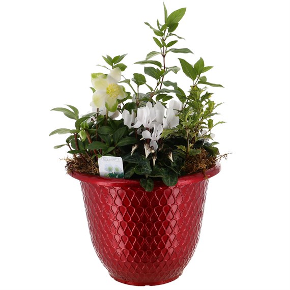 Christmas Festive Large Red Metallic Teardrop Bulb Bedding Planter